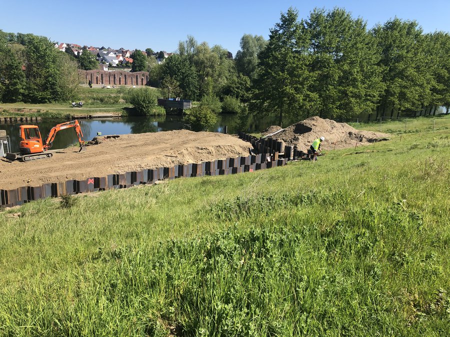 Fisch Aufstieg der Ruhr